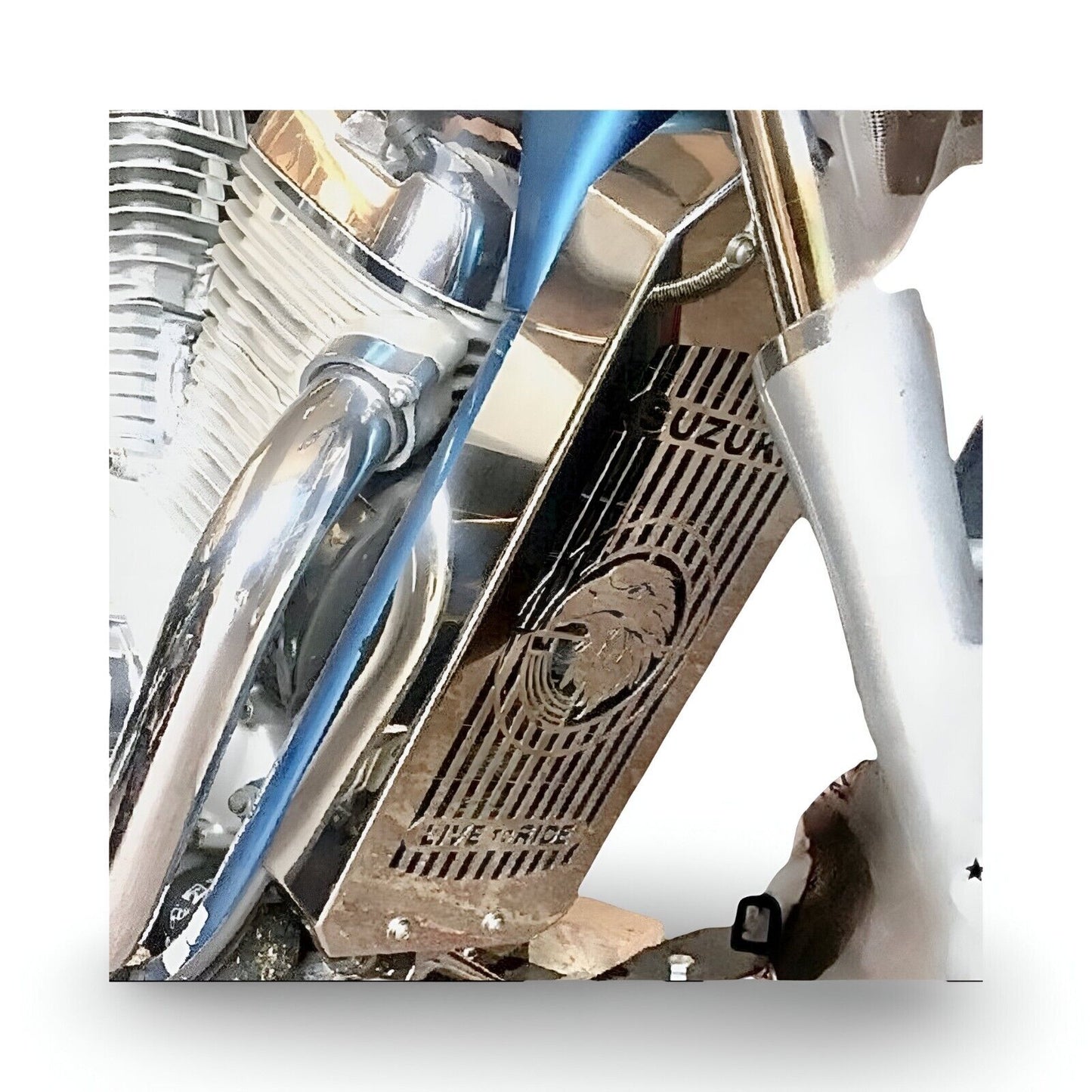 Stainless Steel Radiator Guard Cover for Suzuki VS800 Intruder | EAGLE