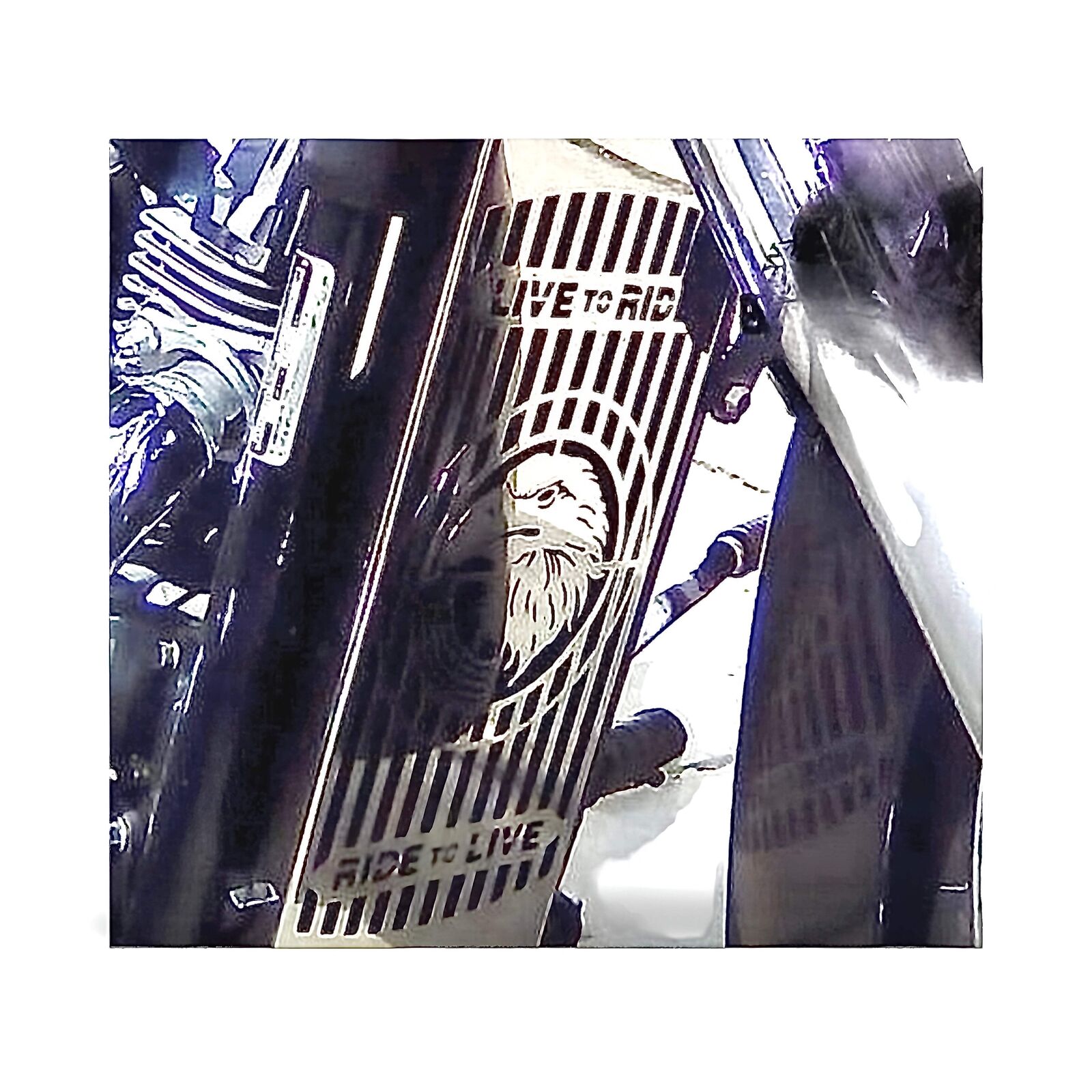 Polished Stainless Steel Radiator Guard Cover for Suzuki VZ 800 Marauder Despera