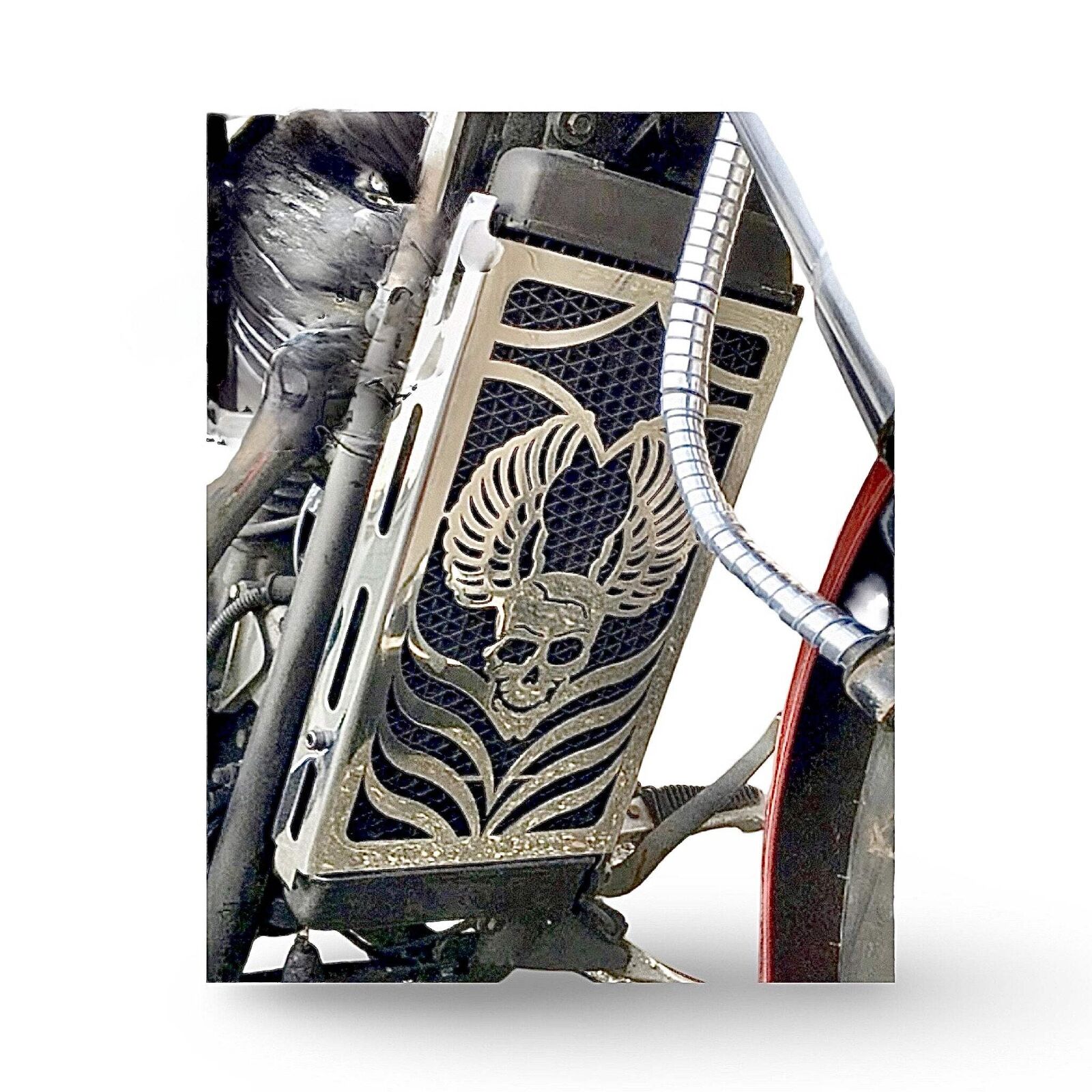 Polished Stainless Steel Radiator Guard Cover for Suzuki VZ 800 Marauder Despera